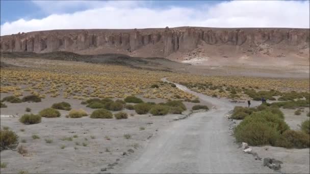 Природа и ландшафт пустыни Атакама в Чили — стоковое видео