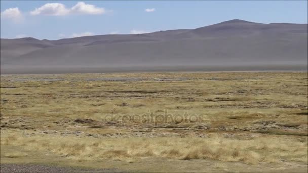 Αλυκές και λιμνοθάλασσες στην έρημο Ατακάμα της Χιλής — Αρχείο Βίντεο