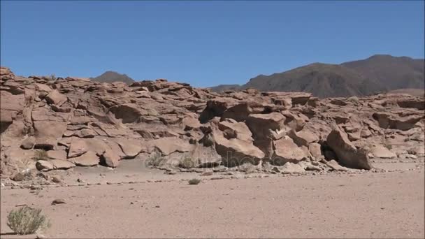Natura e paesaggio nel deserto di Atacama in Cile — Video Stock