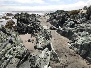 Şili'deki kayalık plaj manzara