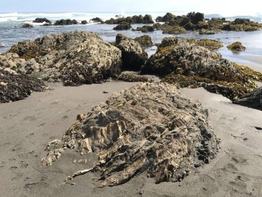 Şili'deki kayalık plaj manzara