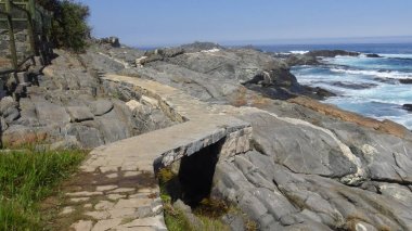 Şili'deki tatil ve kayalık plaj manzara