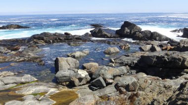 Şili'deki tatil ve kayalık plaj manzara