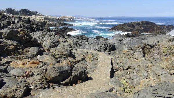 Landscape of rocky beach and holidays in Chile — Stock Photo, Image