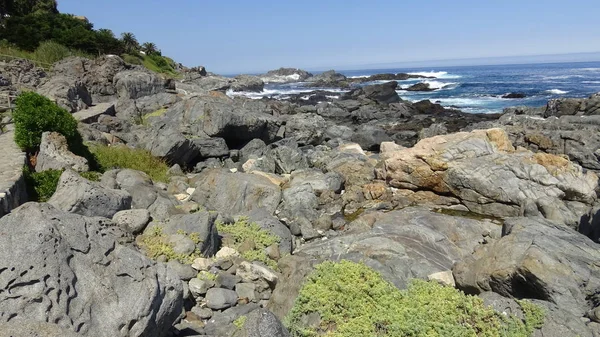 Краєвид кам'янистий пляж і відпочинок в Чилі — стокове фото