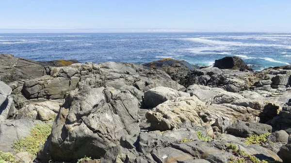 Paisagem de praia rochosa e feriados no Chile — Fotografia de Stock
