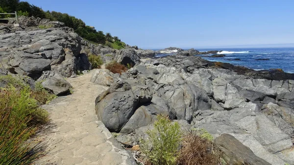 Paisaje de playa rocosa y vacaciones en Chile — Foto de Stock