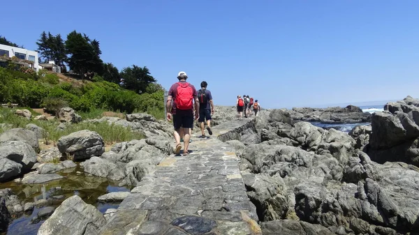 Paisaje de playa rocosa y vacaciones en Chile — Foto de Stock