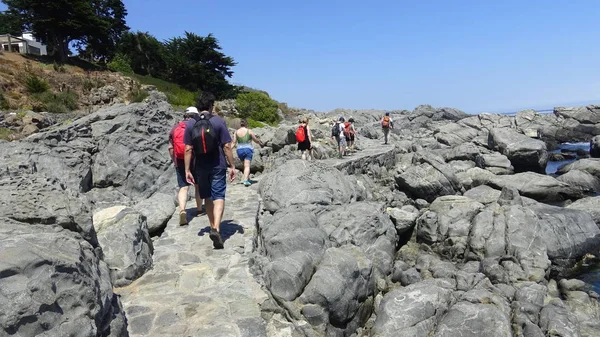 Şili'deki tatil ve kayalık plaj manzara