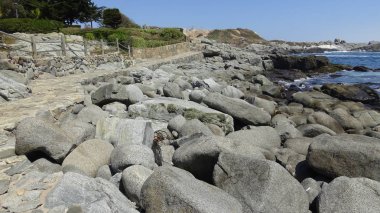 Şili'deki tatil ve kayalık plaj manzara
