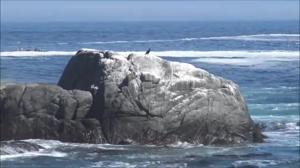 Paisagem de praia rochosa e feriados no Chile — Vídeo de Stock