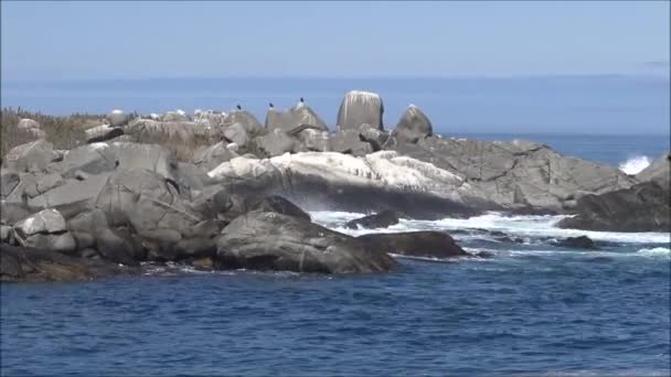 Paisagem de praia rochosa e feriados no Chile — Vídeo de Stock