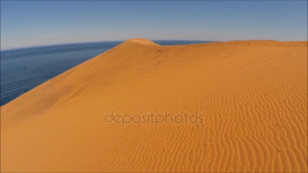 Landschap van rotsachtige strand en vakantie in Chili — Stockvideo