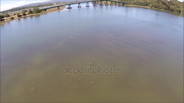 Luftaufnahme von Fluss, Brücke, Boot und Natur in Chile — Stockvideo