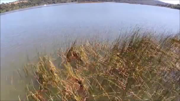 Veduta aerea di fiume, ponte, barca e natura in Cile — Video Stock