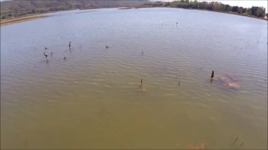 Nehir, köprü, tekne ve Şili doğada havadan görünümü