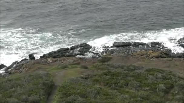 À beira-mar rochosa no Chile — Vídeo de Stock