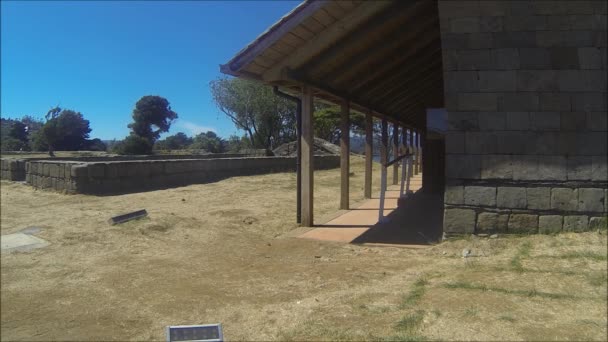 Filmati di droni in un giardino in Cile — Video Stock