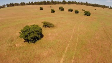 Park ve çiftlik arazi http://www.Voices.no/mainissues/mi40008000288.php Şili havadan görünümü