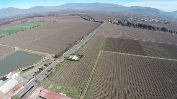 Santiago, Şili 'de bir üzüm bağının havadan görünümü