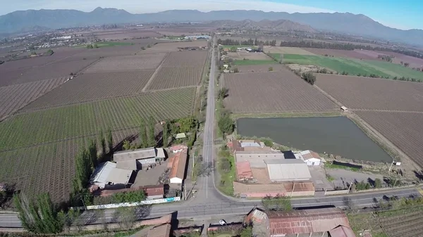 Vista aérea de uma vinha em Santiago, Chile — Fotografia de Stock