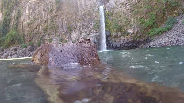 Tronc d'arbre flottant à une rivière au Chili — Photo