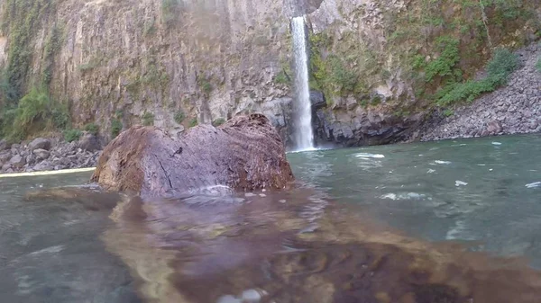 Tronco de árvore flutuante em um rio no Chile — Fotografia de Stock