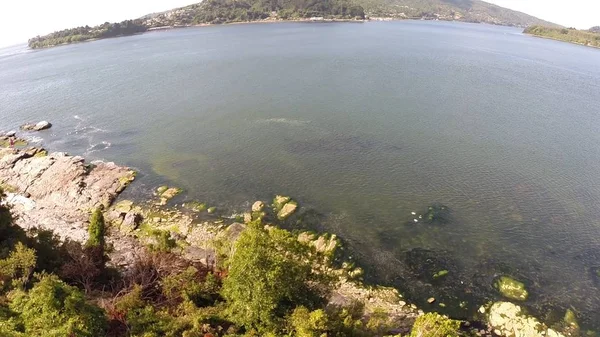 Bir nehir bir park Şili'deki hava resmi — Stok fotoğraf