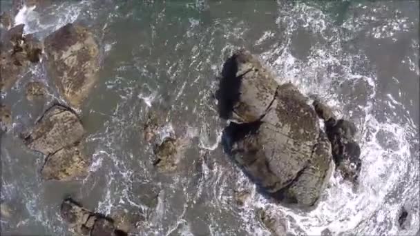 Vue aérienne d'une plage et d'une vague au Chili — Video