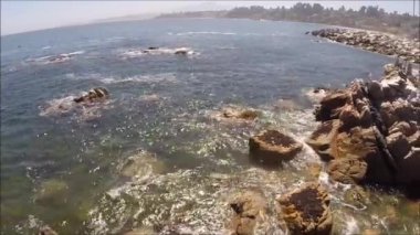 Şili'deki bir plajda Pelican kuşların havadan görünümü