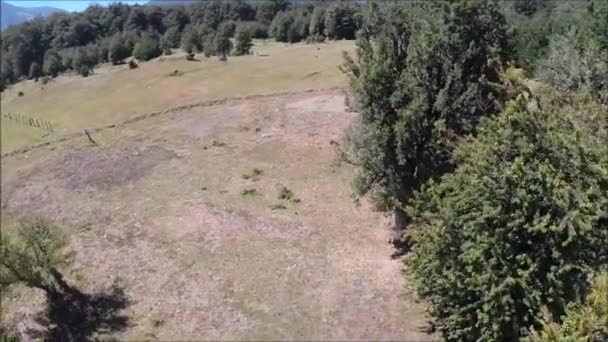Vue aérienne d'un parc et d'une rivière au Chili 