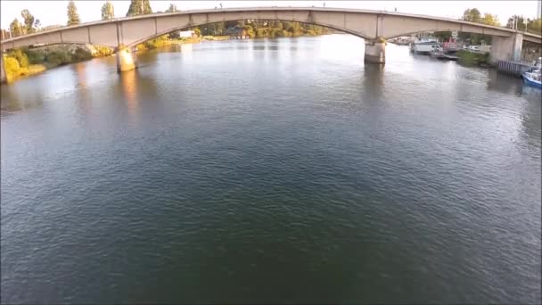 Vue aérienne d'un parc et d'une rivière au Chili — Video