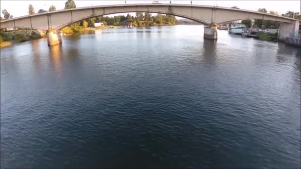 A légi felvétel a Park és Chile folyója — Stock videók