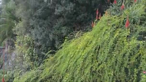 Luftaufnahme auf dem Hügel Santa Lucia in Chile — Stockvideo