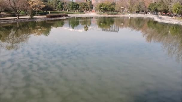 Luchtfoto van een vijver in een park in Santiago, Chili — Stockvideo