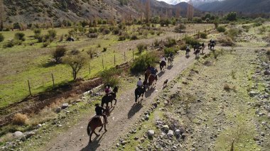 Şili 'de peyzaj, dağlar, vadi ve atların havadan görünümü