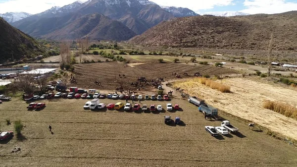 Şili 'de peyzaj, dağlar, vadi ve atların havadan görünümü