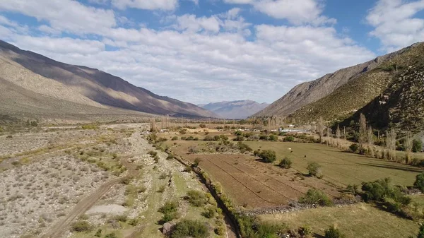 Aerial view of landscape, mountains, valley and horses in Chile — Stock Photo, Image