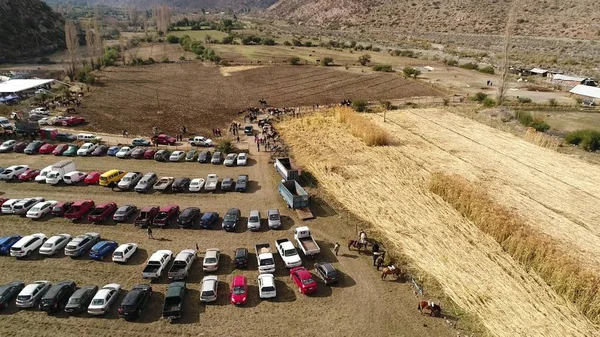 Şili 'de peyzaj, dağlar, vadi ve atların havadan görünümü