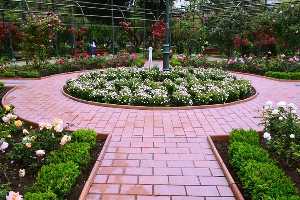 智利圣地亚哥公园的玫瑰花园 — 图库照片