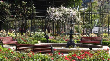 Santiago, Şili'deki gül bahçesi
