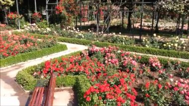 Santiago, Şili'deki bir gül bahçesi havadan görünümü
