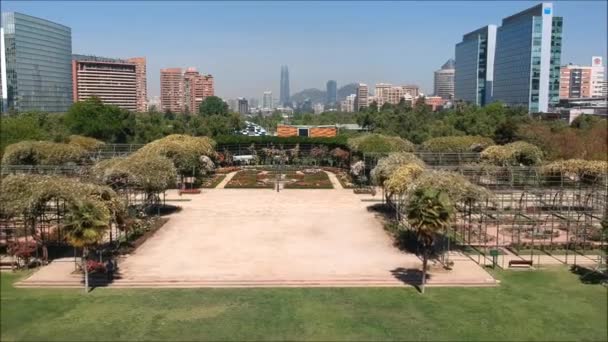 Vista aérea de un jardín de rosas en Santiago, Chile — Vídeos de Stock