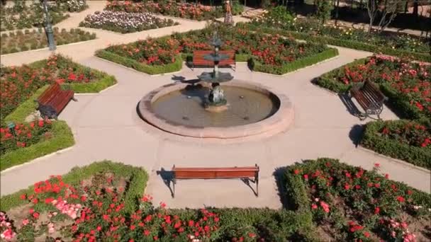 Vista aérea de un jardín de rosas en Santiago, Chile — Vídeos de Stock