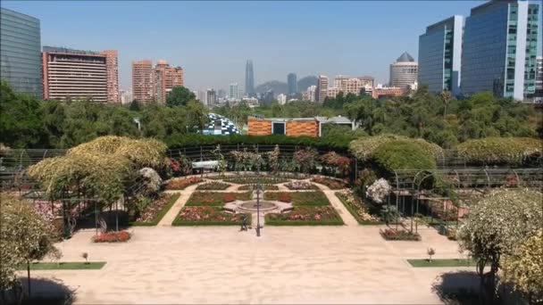 Вид с воздуха на розовый сад в Сантьяго, Чили — стоковое видео