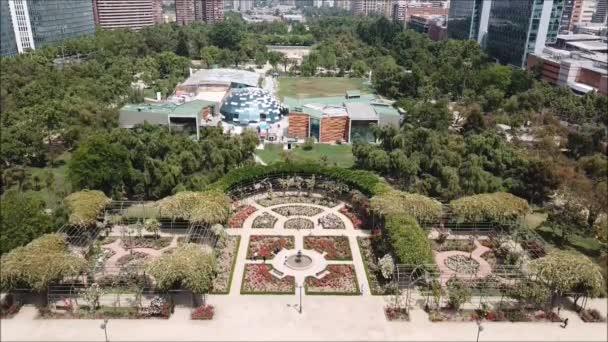 Vista aérea de un jardín de rosas en Santiago, Chile — Vídeo de stock