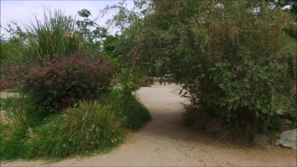 Walking at Araucano park in Santiaog, Chile — Stock Video