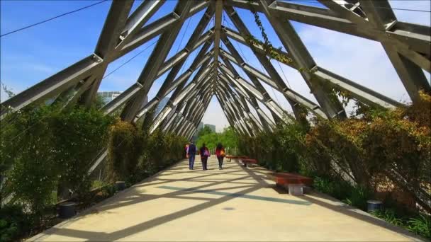 Maak een wandeling door op een ijzeren brug in Santiago, Chili — Stockvideo