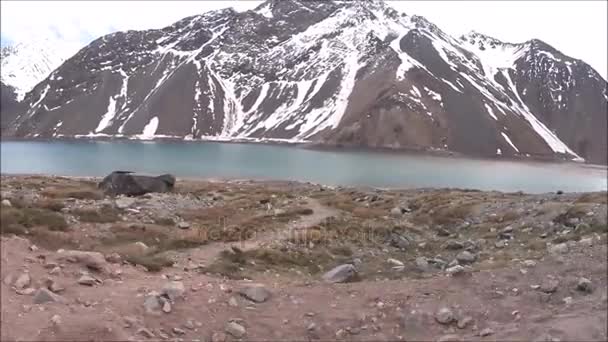 Mitfahren am Einbalsamierungsbecken El Yeso in Chile — Stockvideo