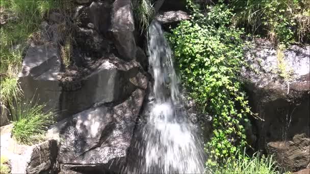 Vodopád v parku v Santiagu, Chile — Stock video